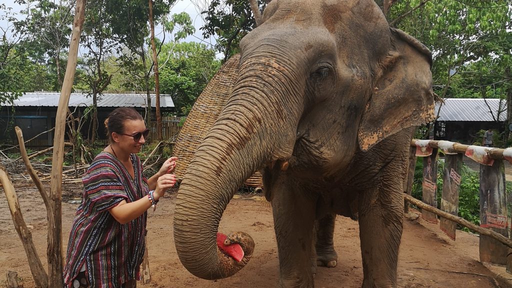 Thailandia colazione