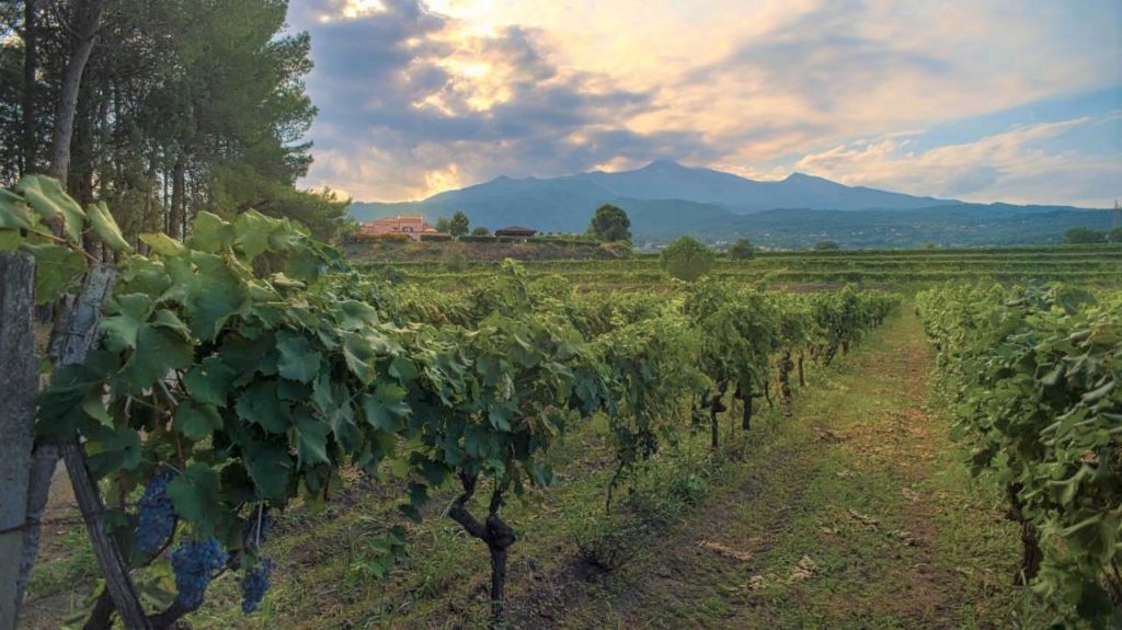 una giornata sull'etna 