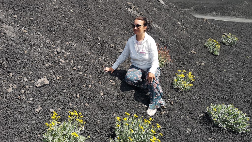 una giornata sull'etna 