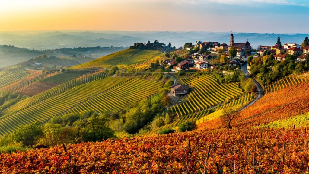 Autunno nelle Langhe