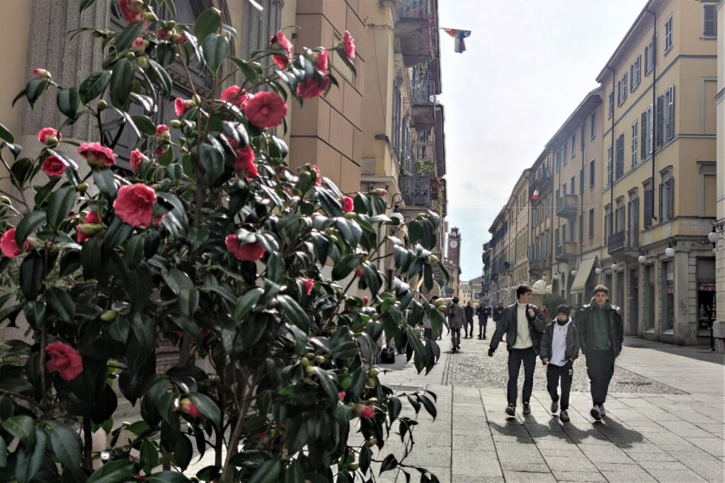 Cosa vedere in un giorno a Novara