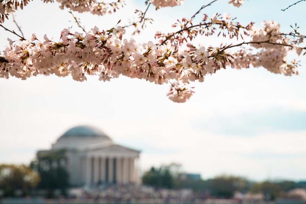 Visitare Washington D.C. in un giorno a partire dalla colazione