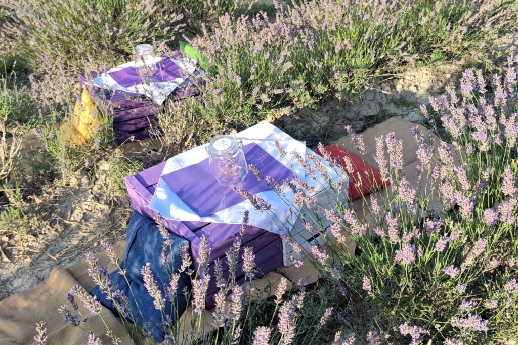 lavanda e borghi Pisa