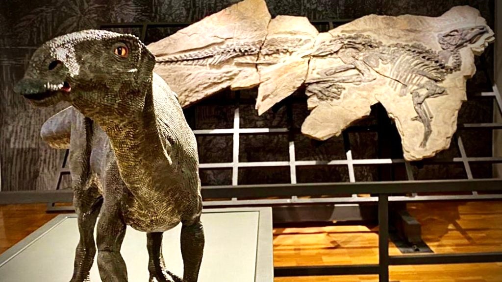 Viaggi incredibili sulle tracce dei dinosauri