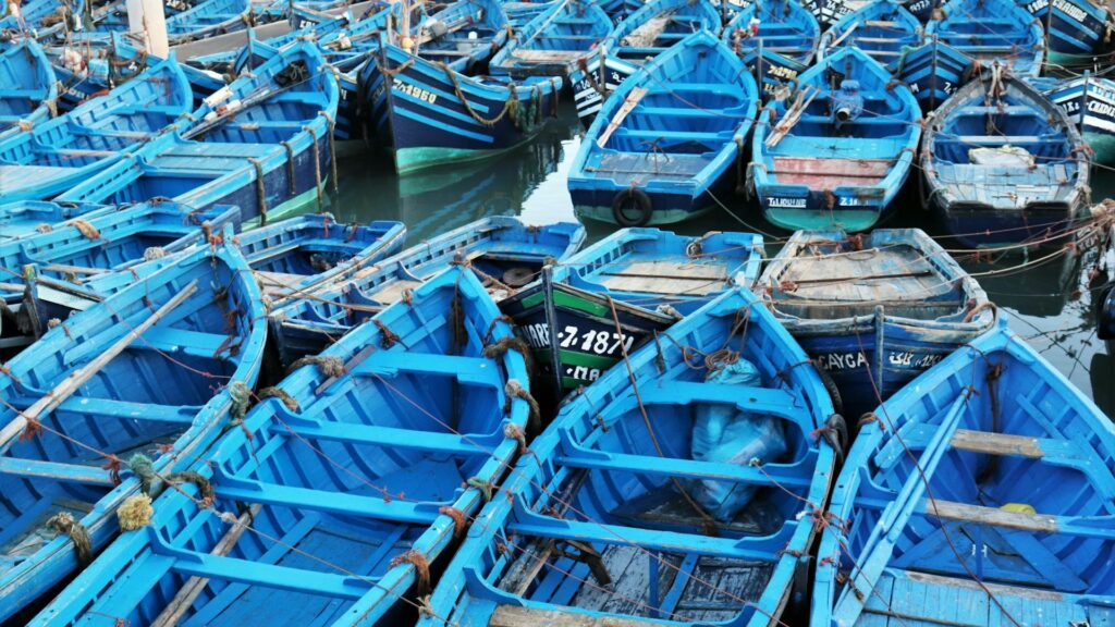 Cosa vedere ad Essaouira