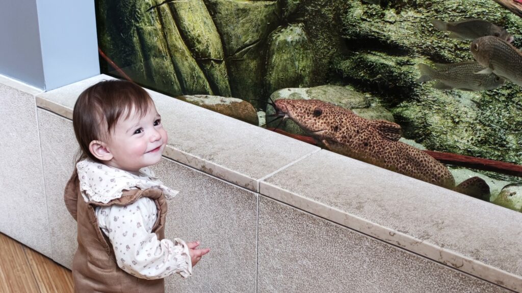 I più interessanti musei per bambini in Trentino