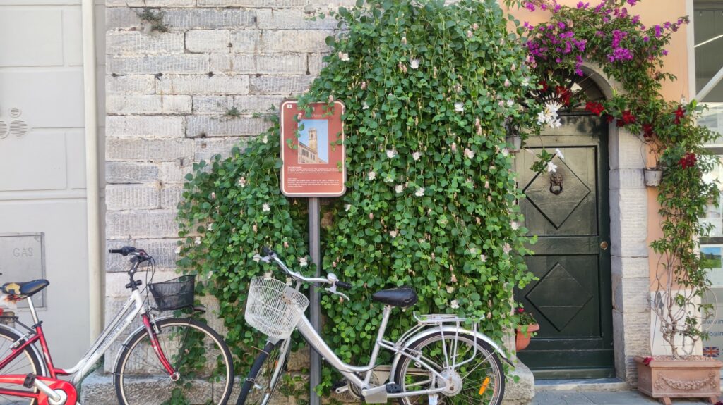 Visitare Pietrasanta a partire dalla colazione